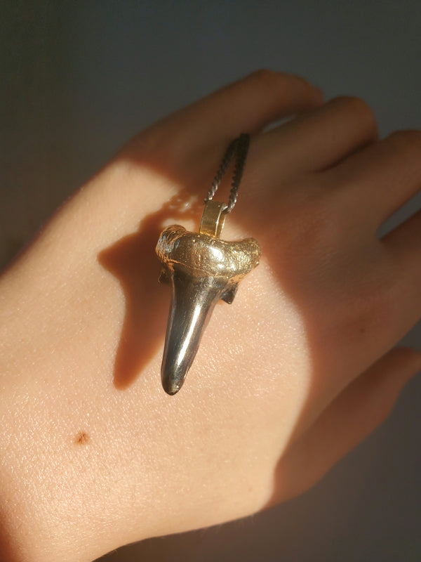 Sterling Silver Sharktooth Necklace